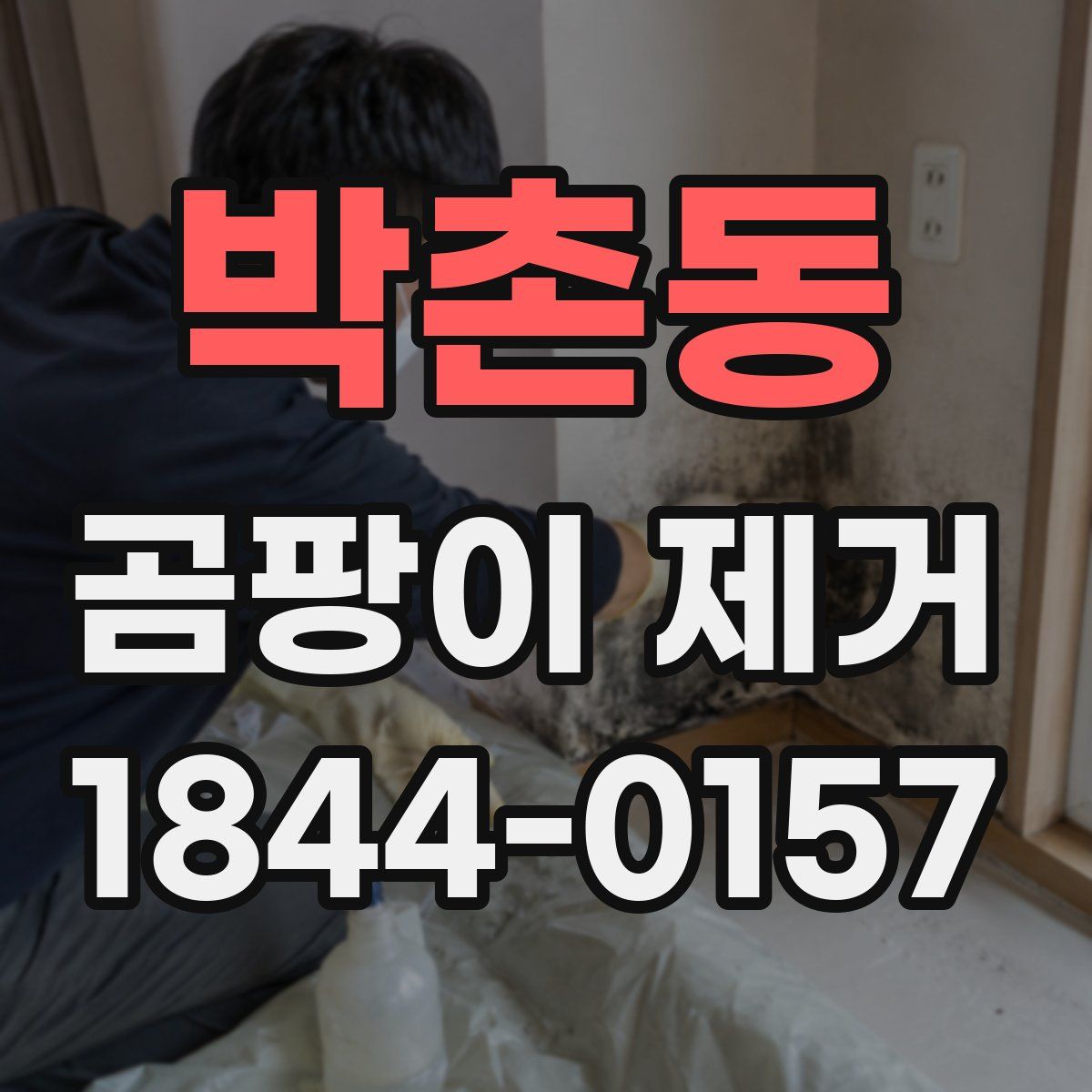 박촌동 곰팡이 제거