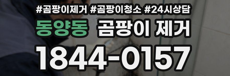 동양동 곰팡이 제거