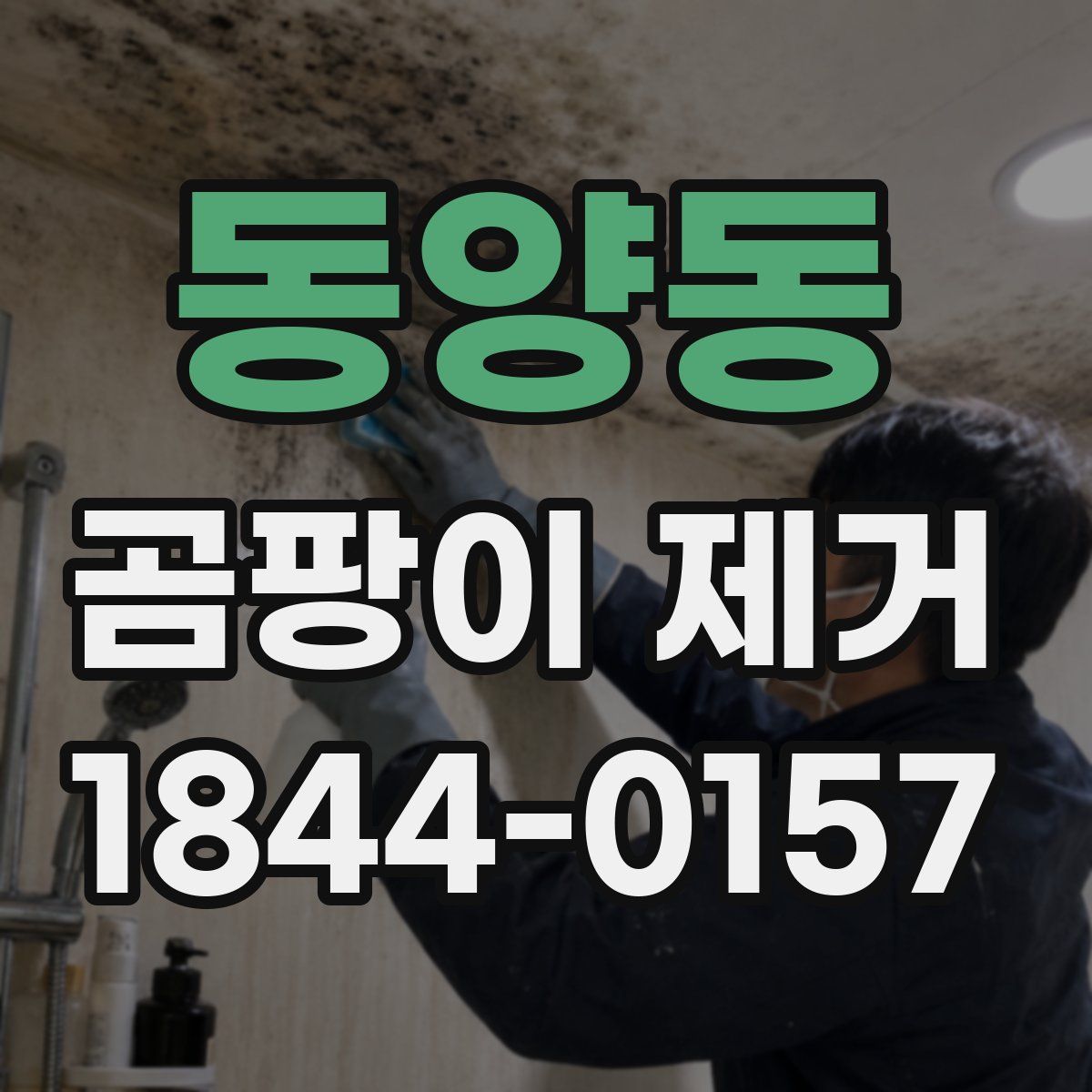 동양동 곰팡이 제거