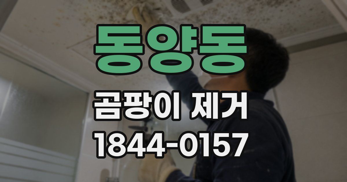 동양동 곰팡이 제거