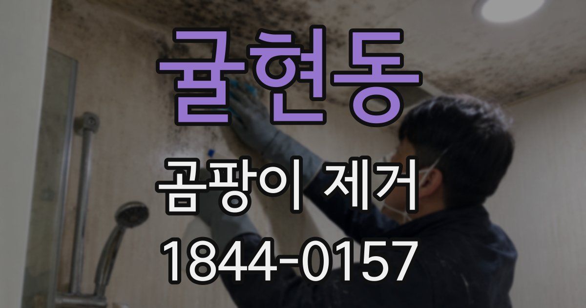 귤현동 곰팡이 제거