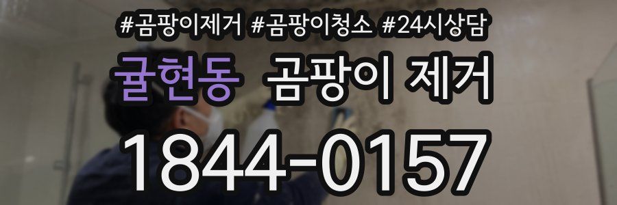 귤현동 곰팡이 제거
