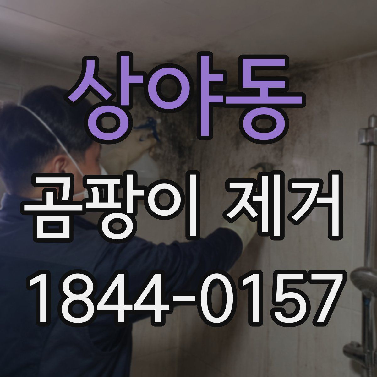 상야동 곰팡이 제거
