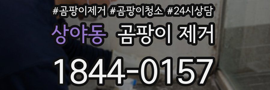 상야동 곰팡이 제거