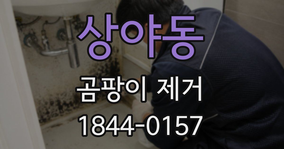 상야동 곰팡이 제거