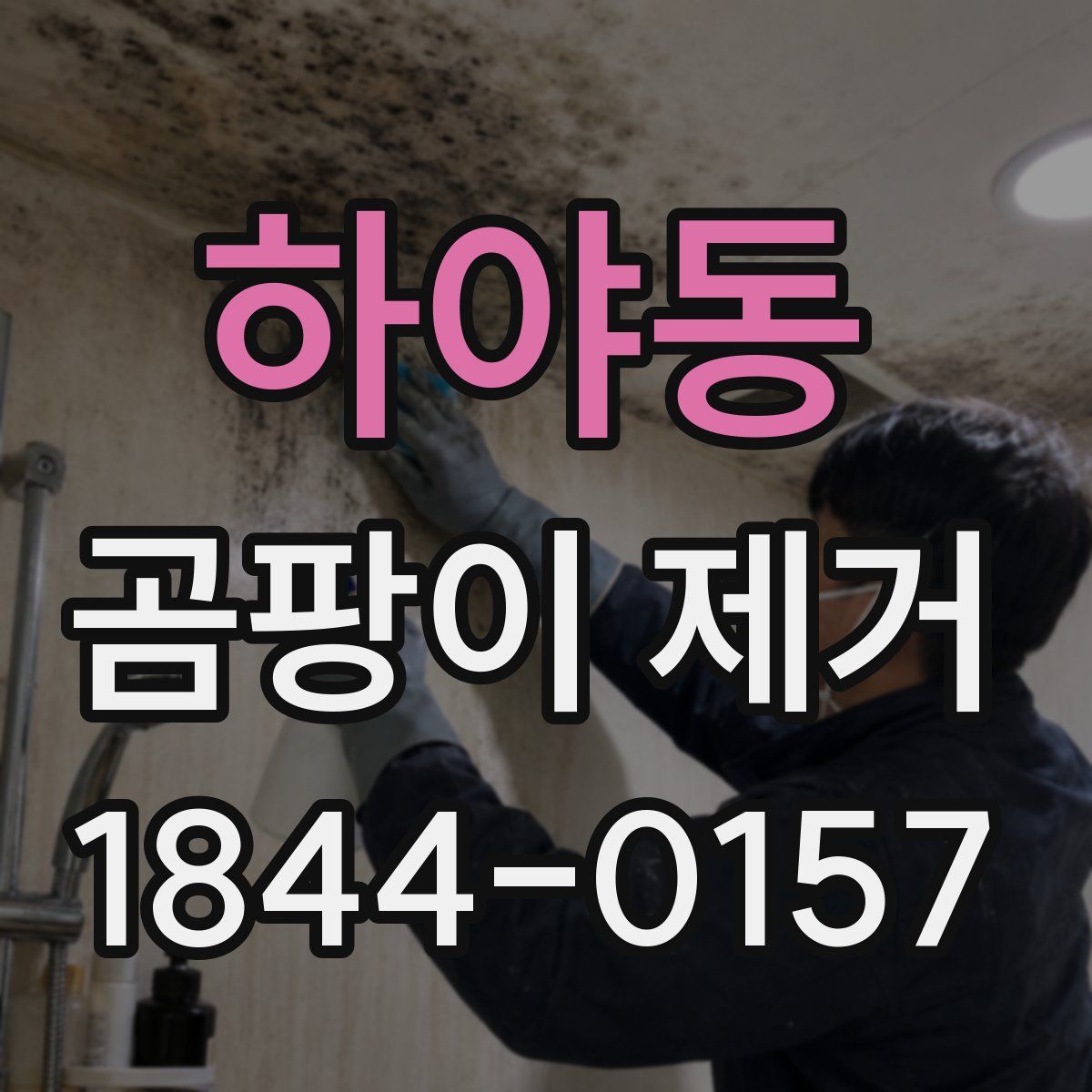 하야동 곰팡이 제거