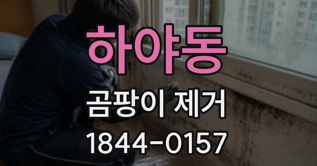 하야동 곰팡이 제거