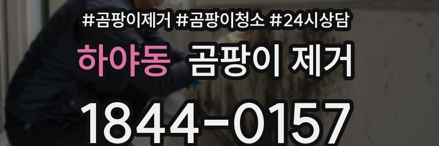 하야동 곰팡이 제거