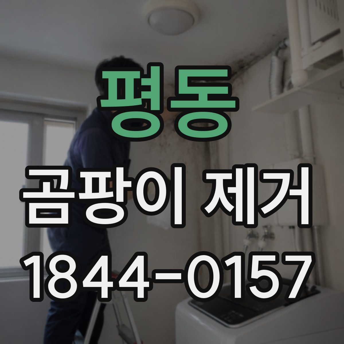 평동 곰팡이 제거