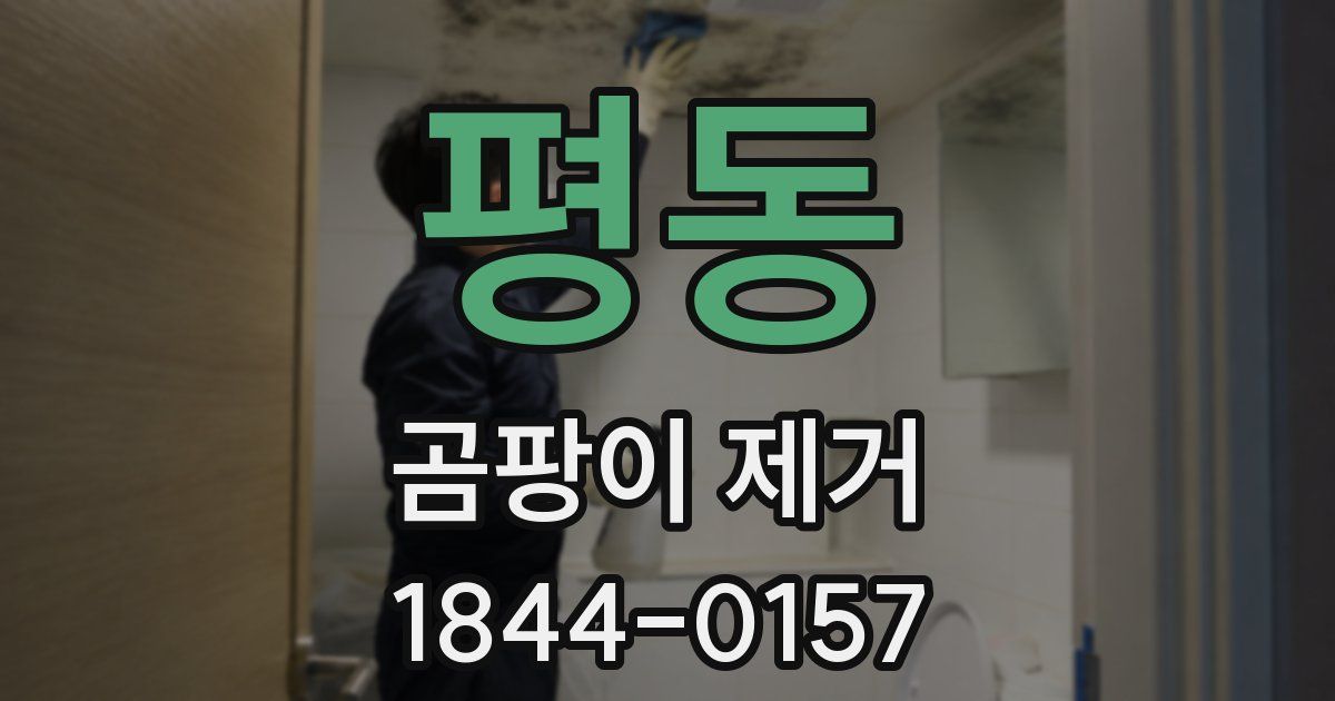 평동 곰팡이 제거