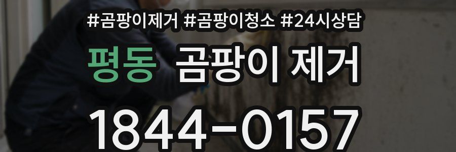 평동 곰팡이 제거