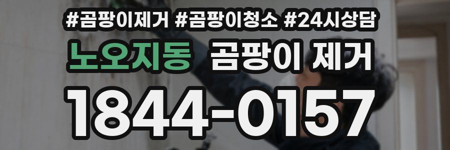 노오지동 곰팡이 제거