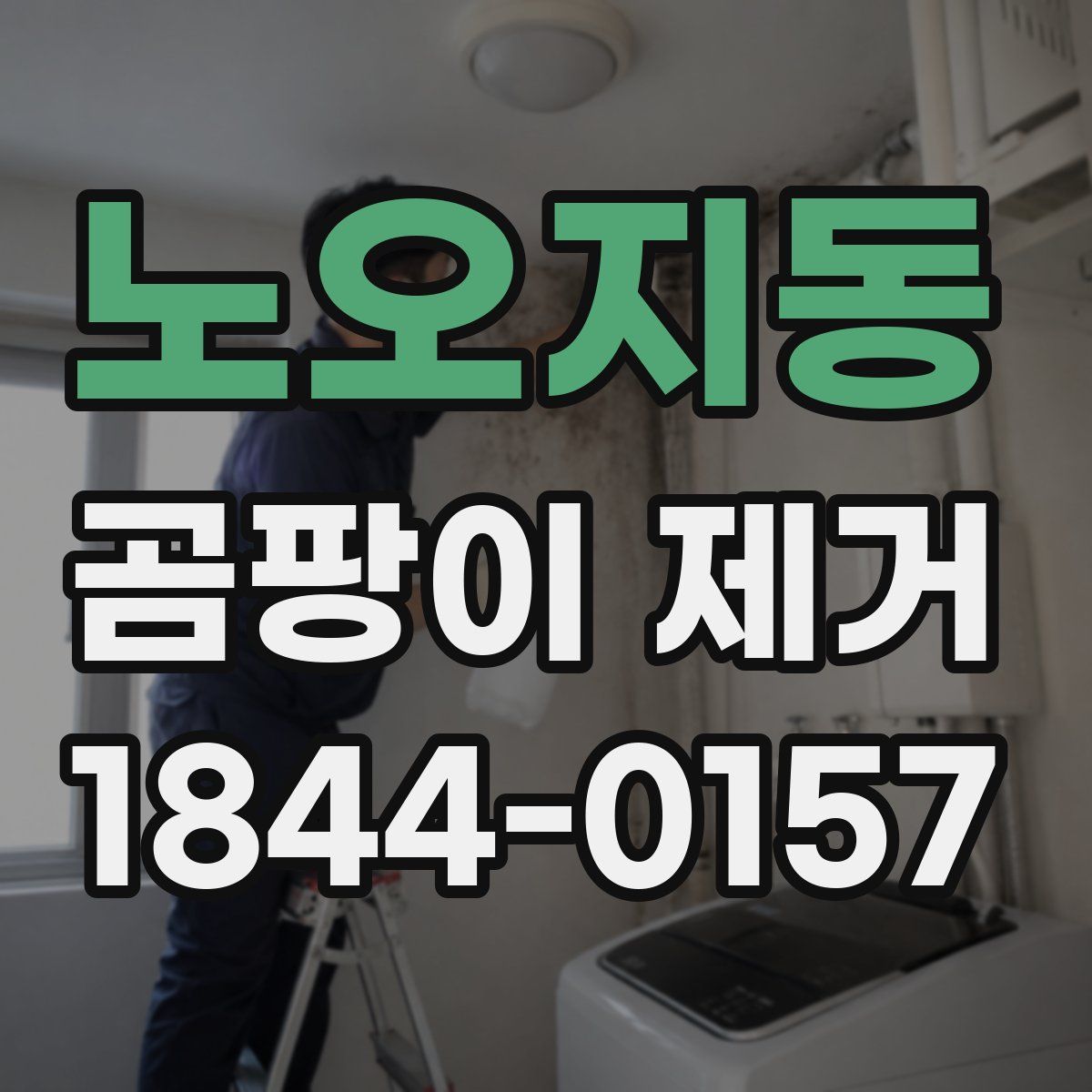 노오지동 곰팡이 제거
