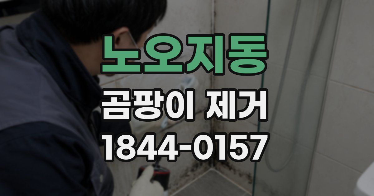 노오지동 곰팡이 제거