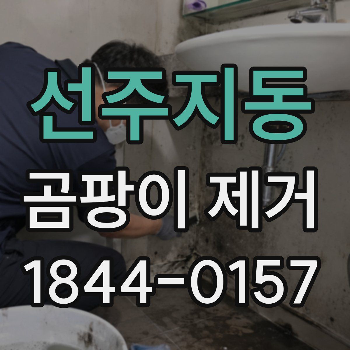 선주지동 곰팡이 제거