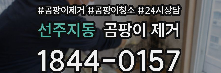 선주지동 곰팡이 제거