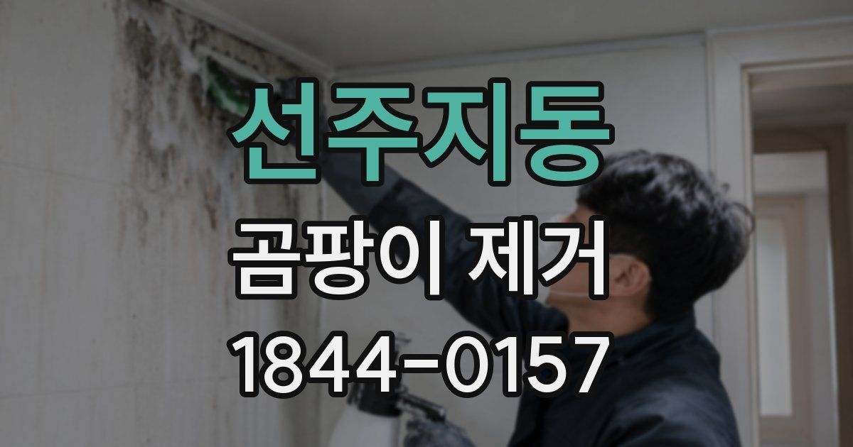 선주지동 곰팡이 제거