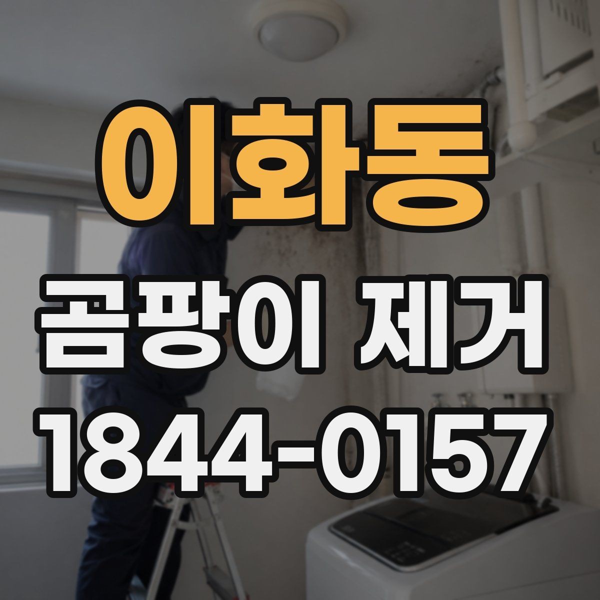 이화동 곰팡이 제거 장마 전후로 달라지는 생활 점검