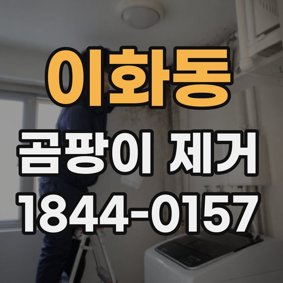 이화동 곰팡이 제거