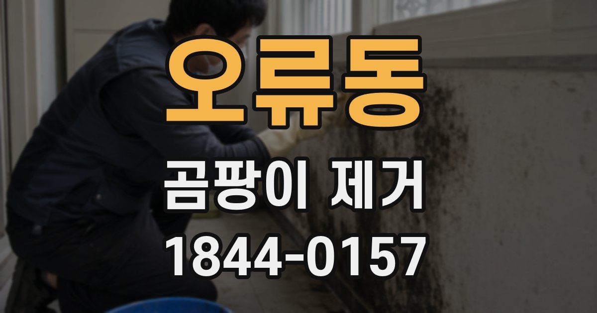 오류동 곰팡이 제거