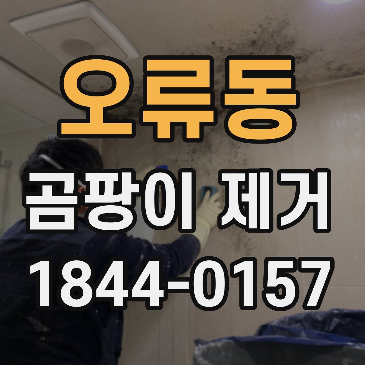 오류동 곰팡이 제거