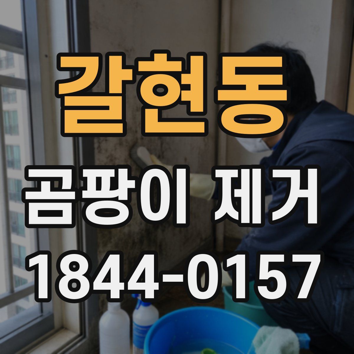 갈현동 곰팡이 제거