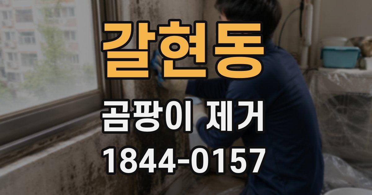 갈현동 곰팡이 제거