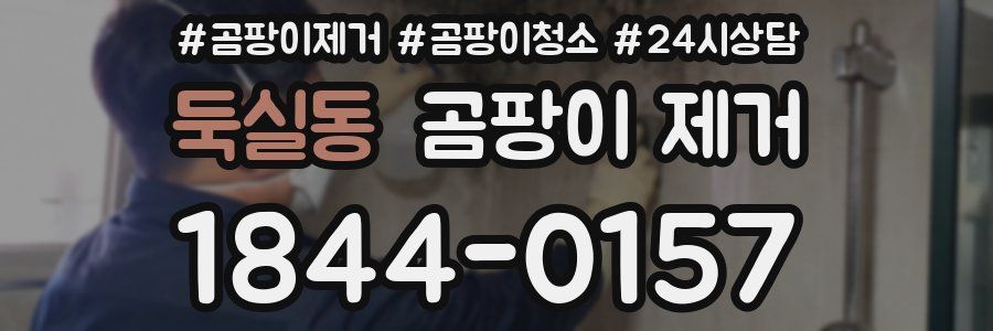 둑실동 곰팡이 제거