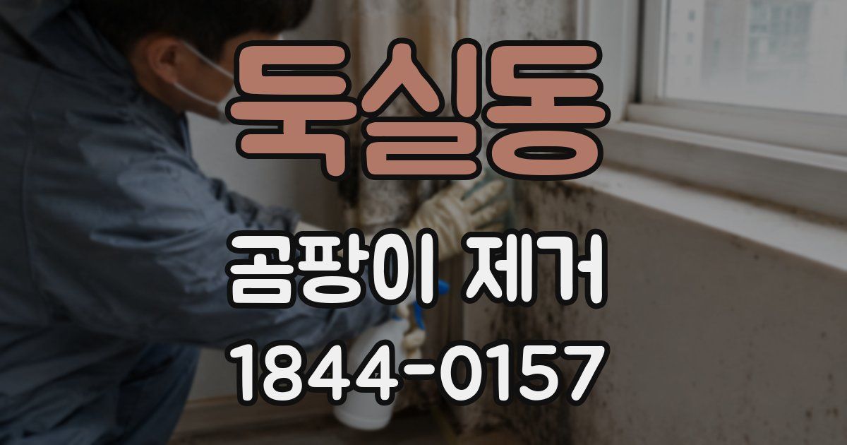 둑실동 곰팡이 제거