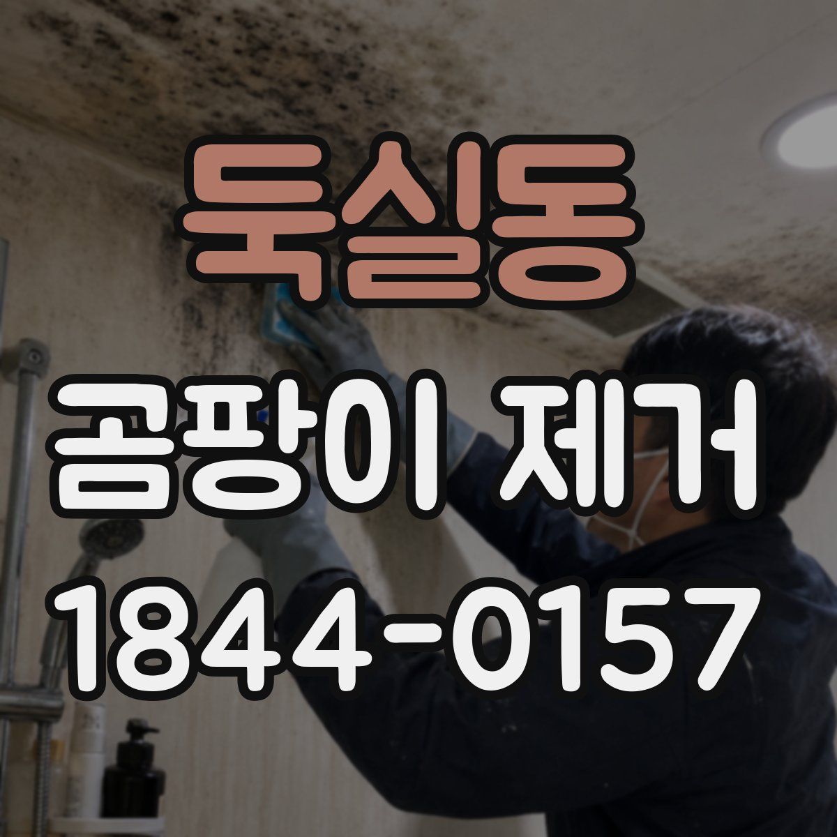 둑실동 곰팡이 제거