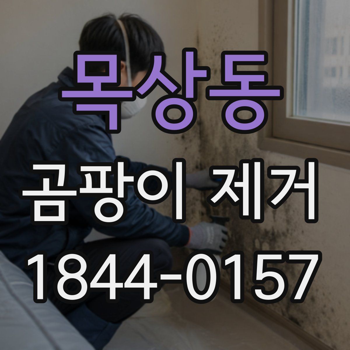 목상동 곰팡이 제거