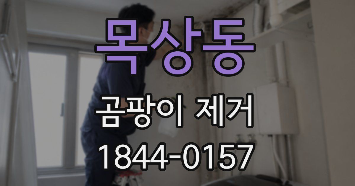 목상동 곰팡이 제거