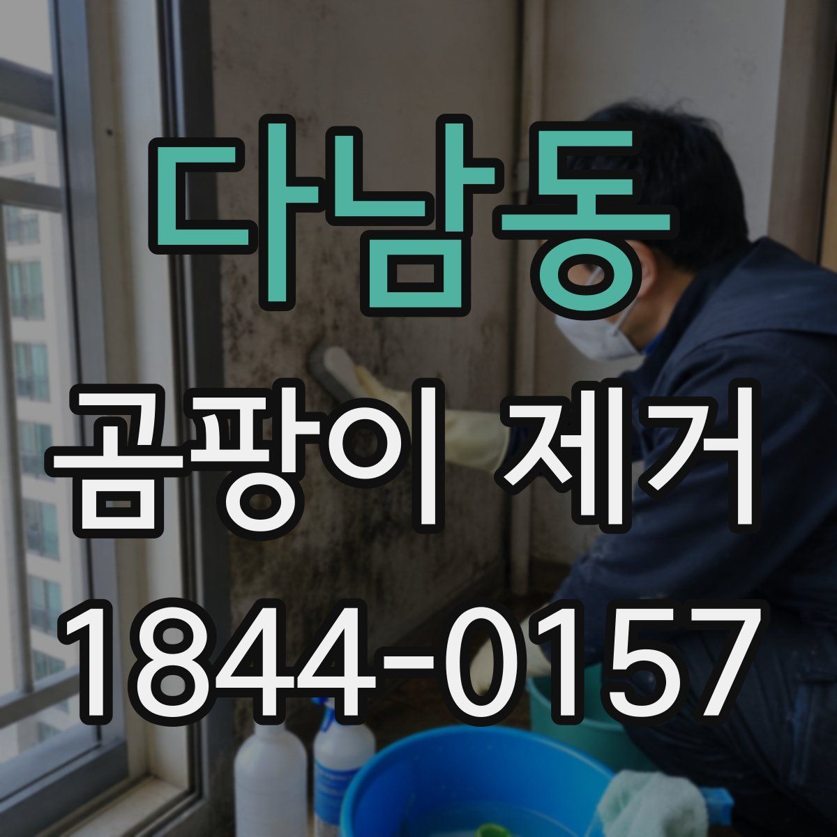 다남동 곰팡이 제거