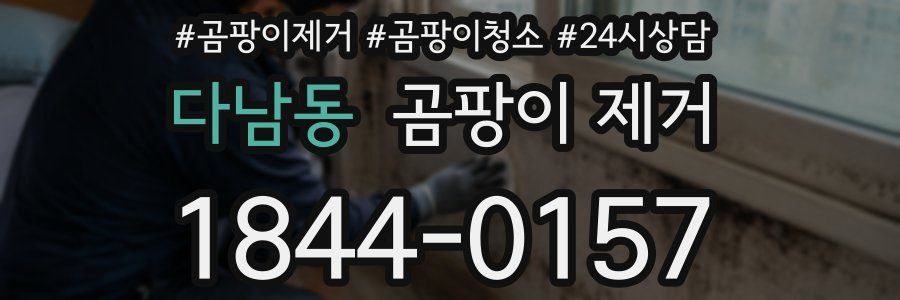 다남동 곰팡이 제거