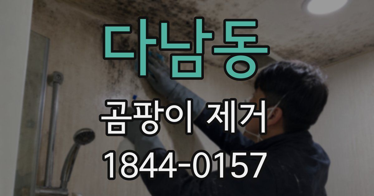 다남동 곰팡이 제거