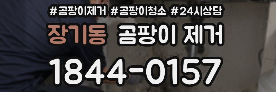 장기동 곰팡이 제거