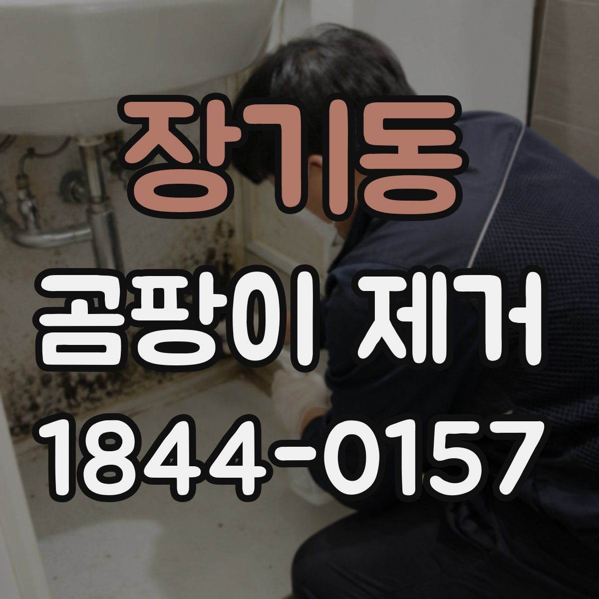 장기동 곰팡이 제거