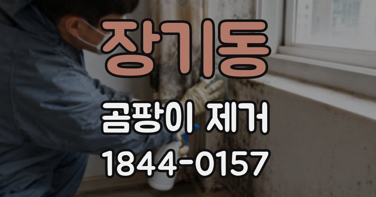 장기동 곰팡이 제거
