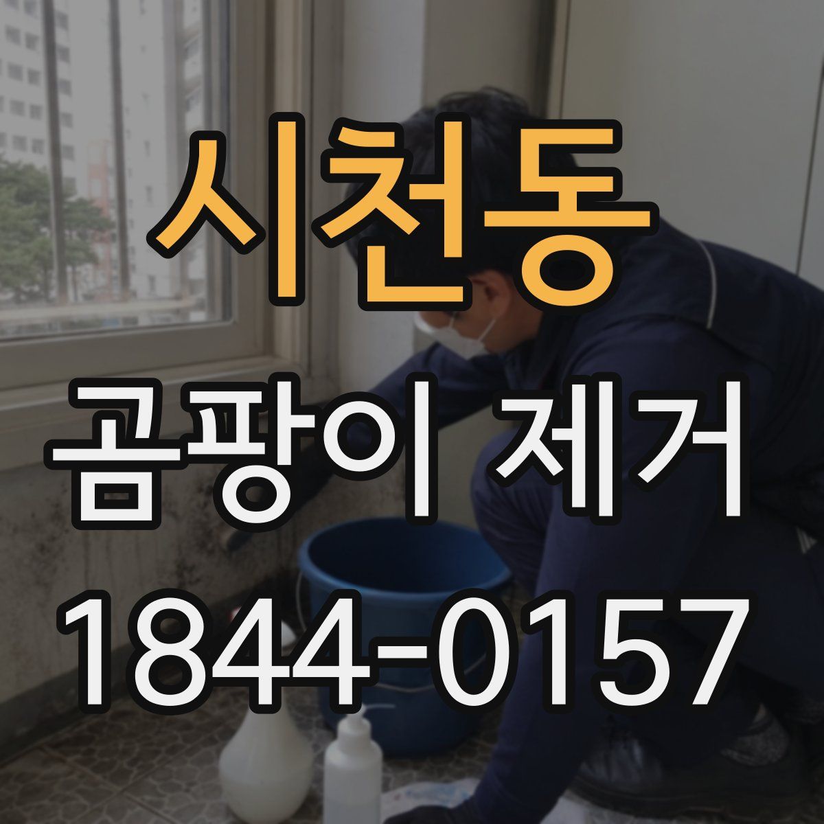 시천동 곰팡이 제거