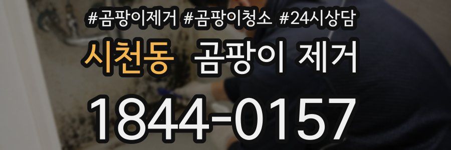 시천동 곰팡이 제거