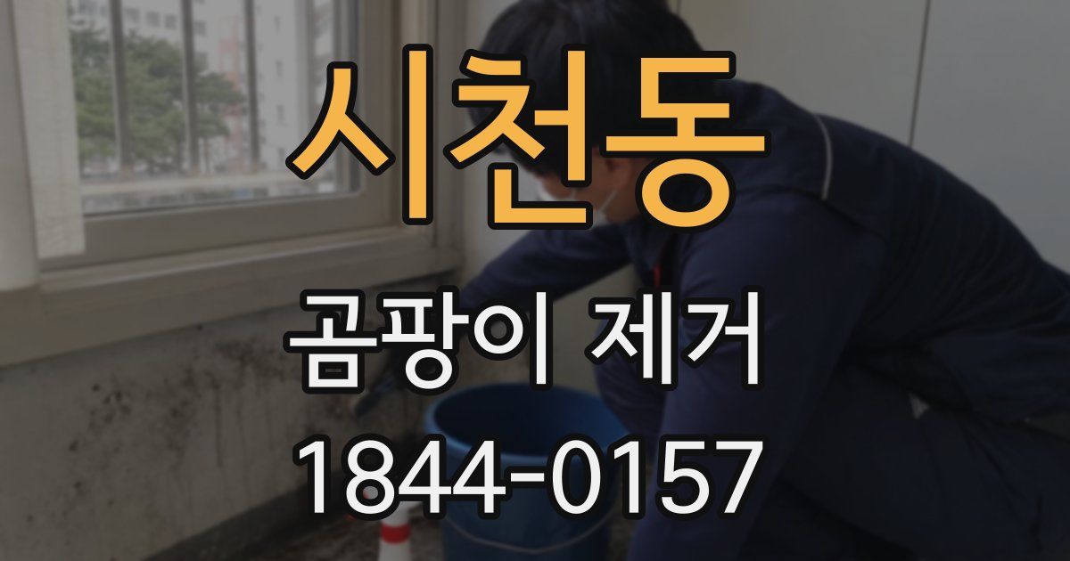 시천동 곰팡이 제거