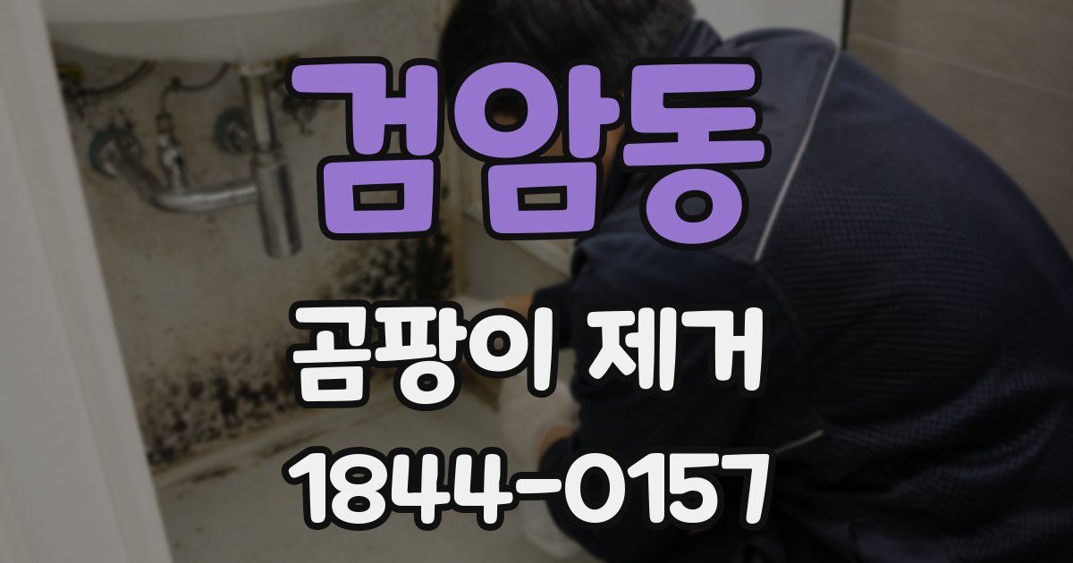 검암동 곰팡이 제거