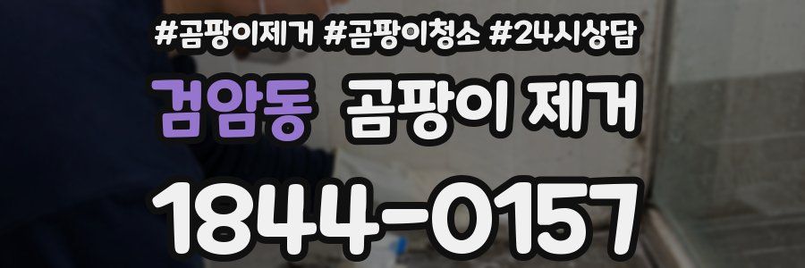 검암동 곰팡이 제거