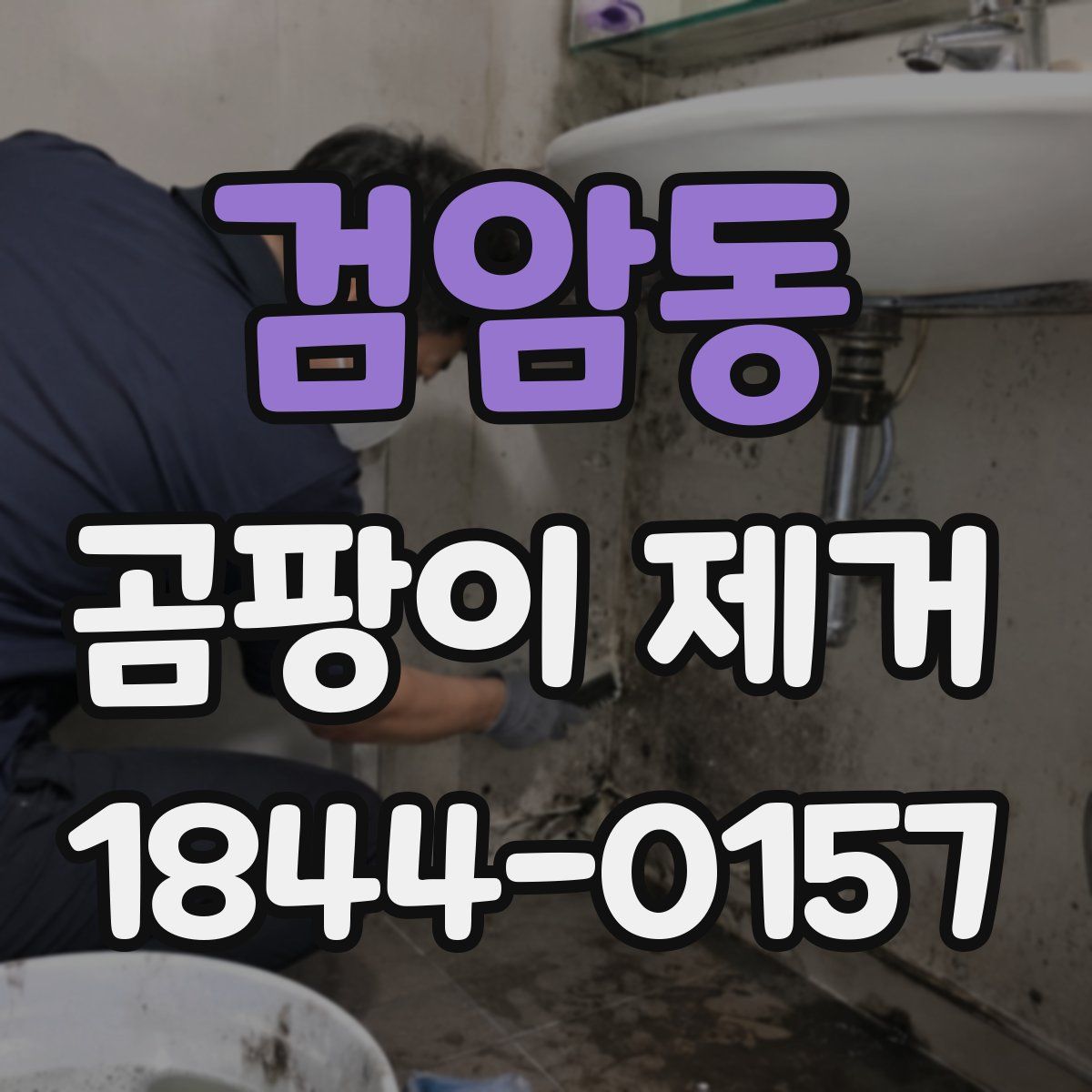 검암동 곰팡이 제거