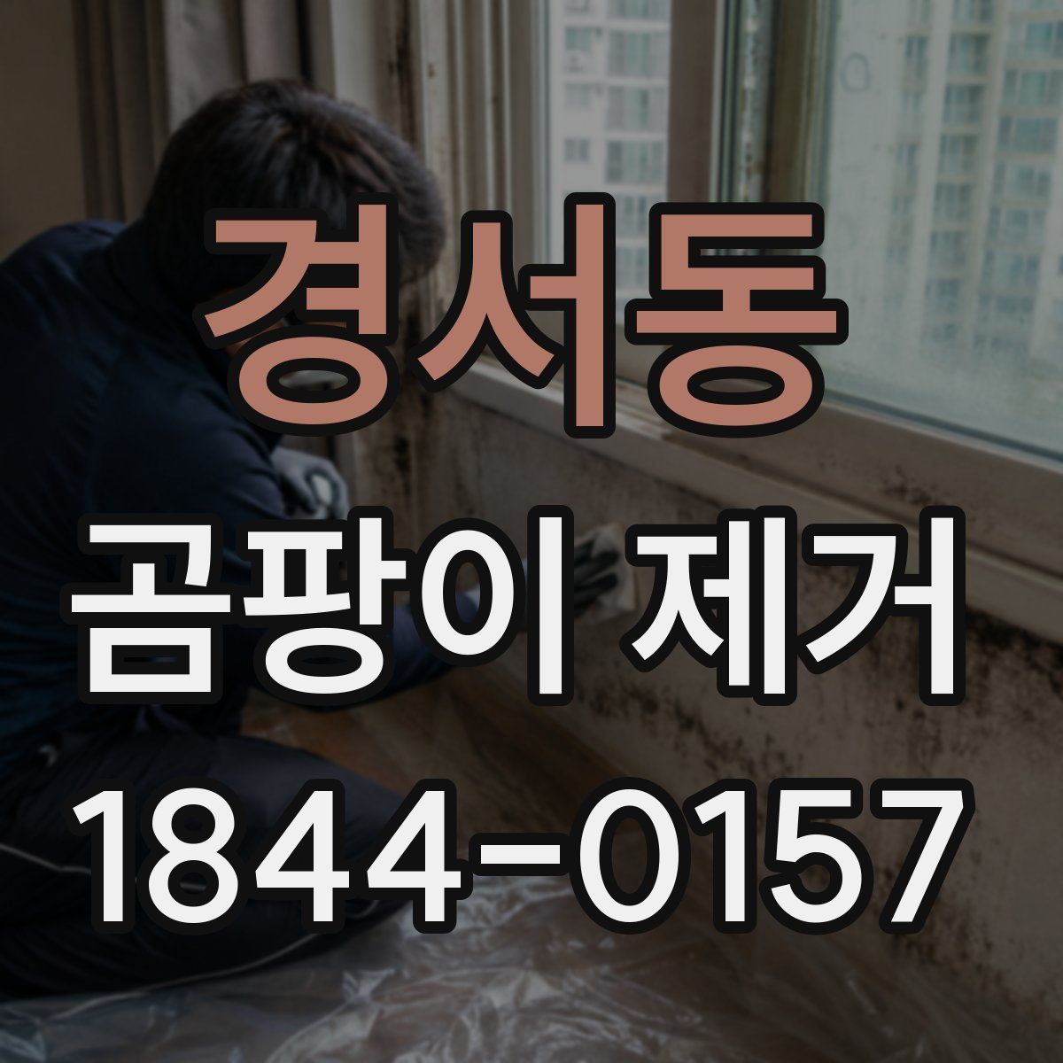 경서동 곰팡이 제거