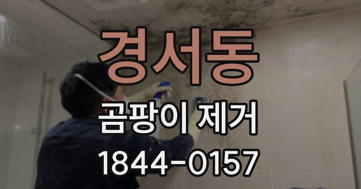 경서동 곰팡이 제거