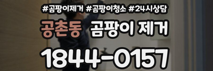 공촌동 곰팡이 제거