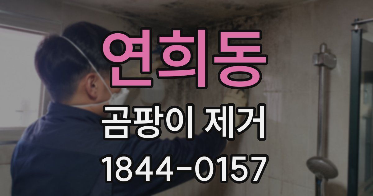 연희동 곰팡이 제거
