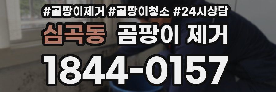 심곡동 곰팡이 제거