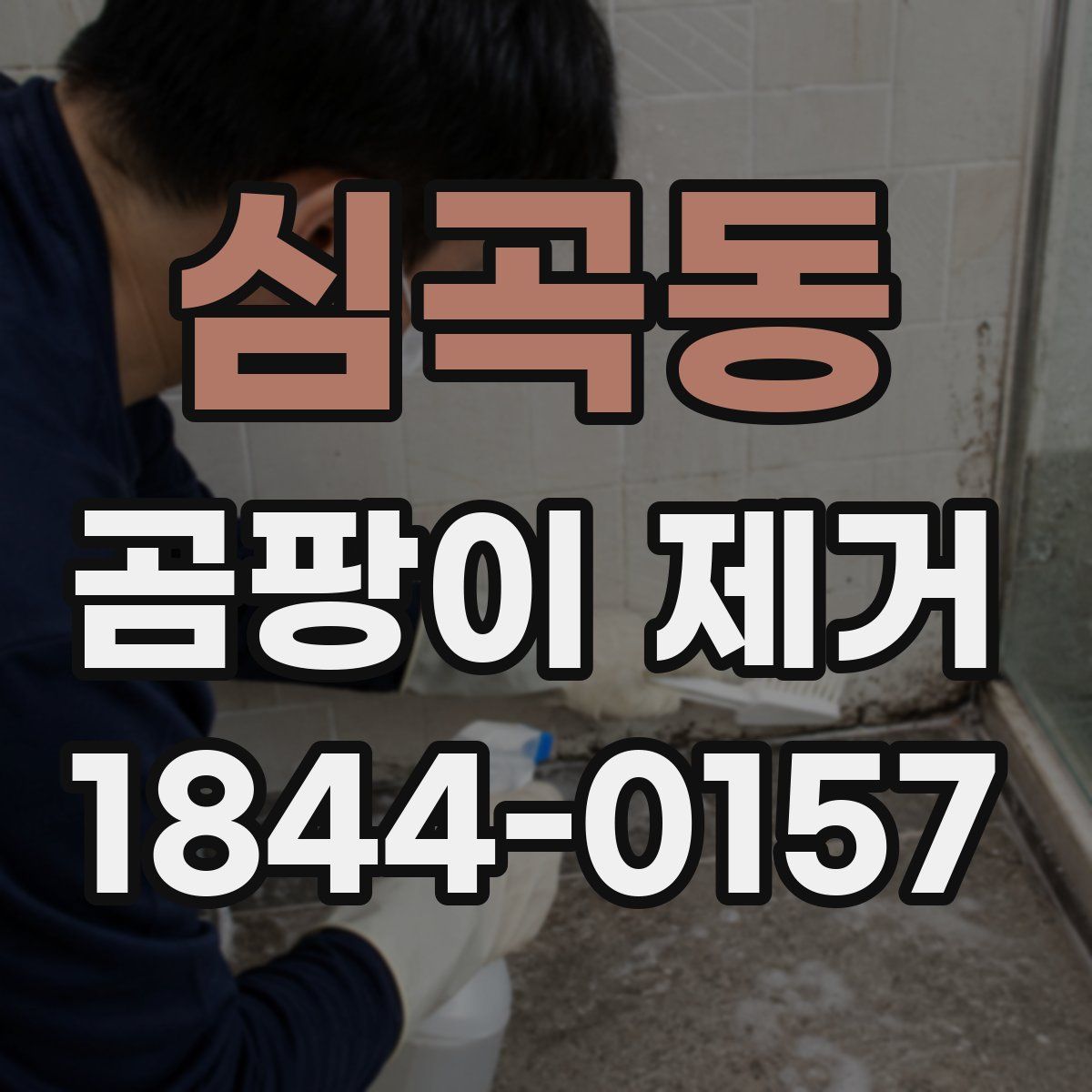 심곡동 곰팡이 제거